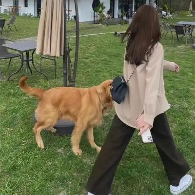 饥渴诱罪